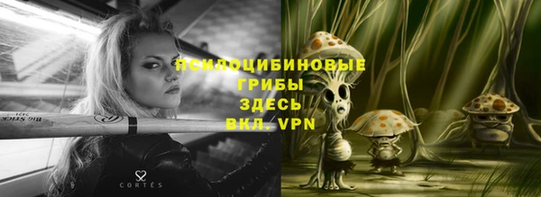spice Костерёво