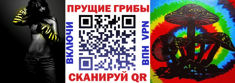 Купить где  Баксан  Галлюциногенные грибы Cubensis 